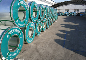 ��Ϳ����